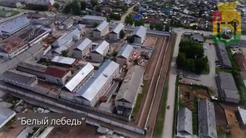 г_Соликамск_Белый_лебедь