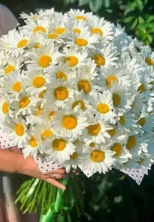 IMG-87caa7aa7d21b60b1f1dd2ba5d8161fe-V