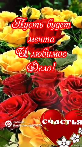 video-5cdc910e0c997645a1ba4b8582bcb59b-V