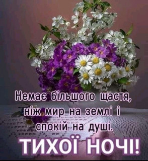 FB_IMG_16976591264022309