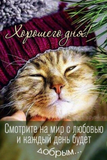 IMG-b54f9ea38c2c9d03ae36e40e55511410-V