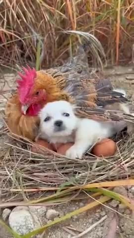 я_у_тебя_погреюсь