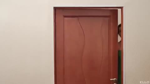 Божья коровка - Девушка