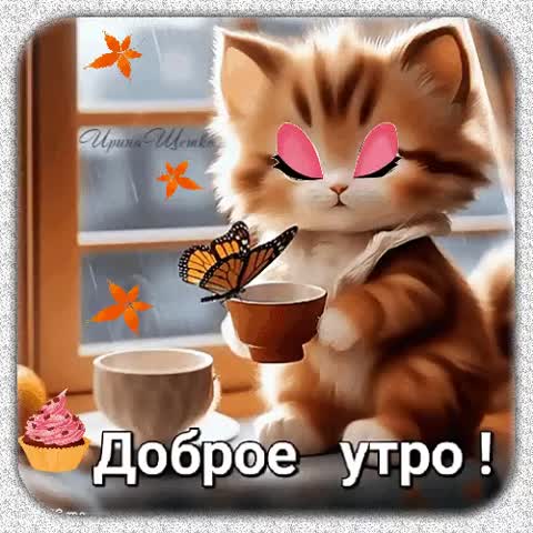 Котя