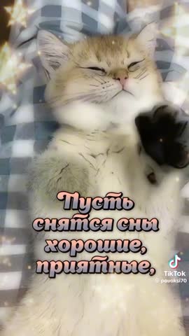 video-1160affa20df3bcaadaae60700b38a56-V