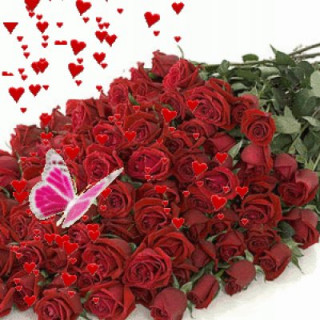 339800235_f_401_400_0