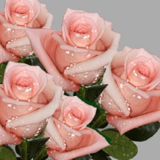 339800242_f_401_400_0