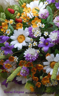 полевые_цветы