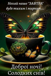 FB_IMG_16984357909486533