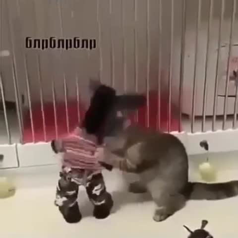 Галя_хватит