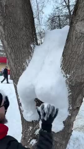 мишка_застрял