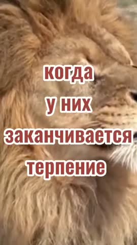 1698647094153_1698647094153