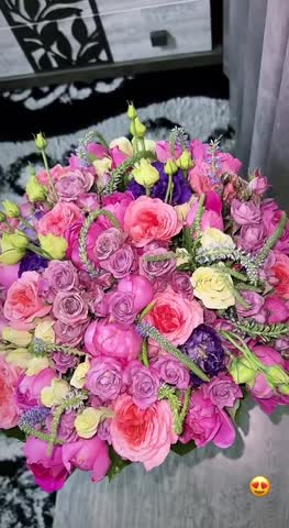 VID_20231025_144130_710