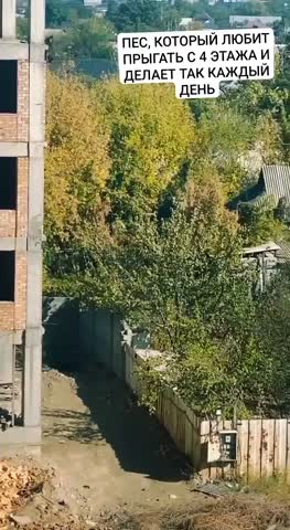 VID_20231102_083030_661