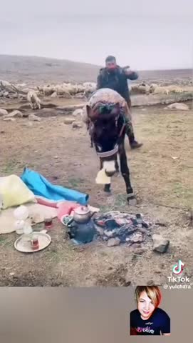 в_большой_семье