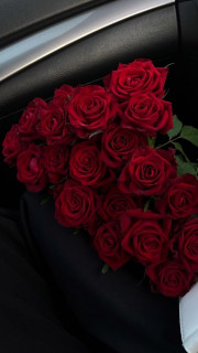 nAV6Dr8T2wo