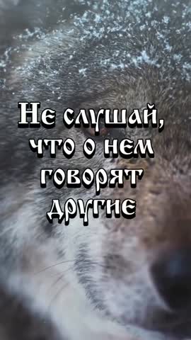 1699250843600_1699250843600