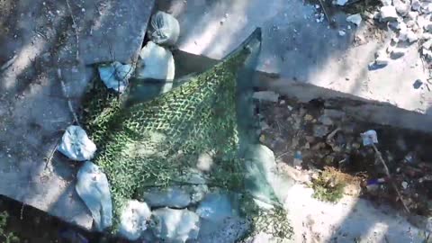 signal-2023-09-24-23-10-29-723-2