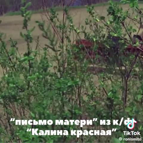 video-9f21f4f591c6161366f376887d6564d7-V