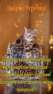 IMG-aa24ed5345b895b14d70977816f458ef-V