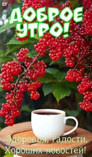 IMG-a706061c5f1447b61f92c0432b173823-V