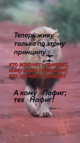 376749626_1103973834343595_7872333155603687787_n