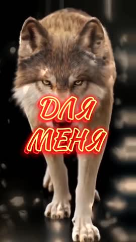 396008796_355358806887319_7490254075768903257_n