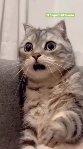 атас_сматывается