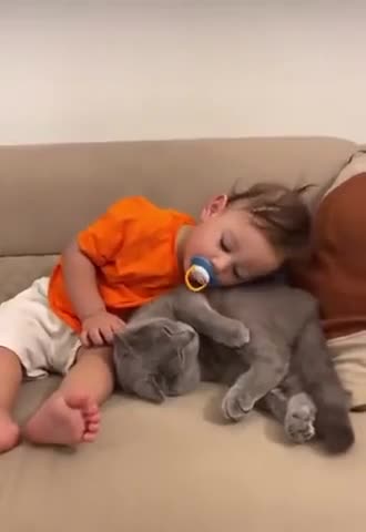 подушечный_друг