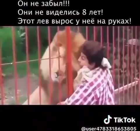 он_не_забыл