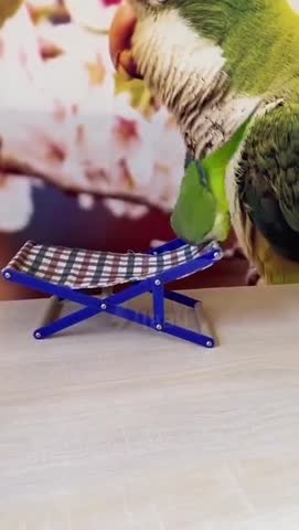 какой_хорошенький