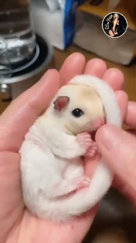 Мимишка