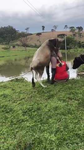 WhatsApp_Video_2023-11-15_at_12_46_59