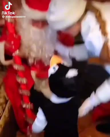 WhatsApp_Video_2023-11-15_at_19_29_45