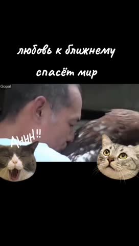 WhatsApp_Video_2023-11-16_at_10_10_10