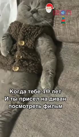 когда_тебе_40