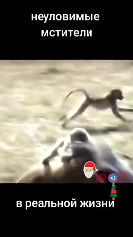 неуловимые_мстители