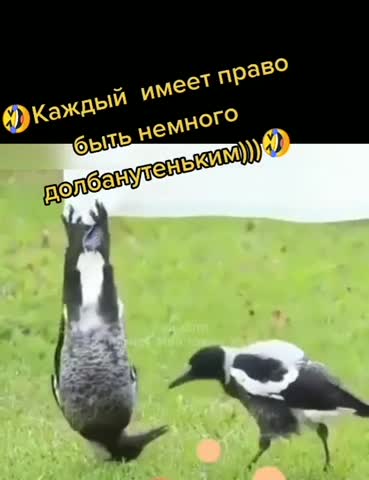 каждый_имеет_право