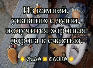 IMG_20231116_123501-world52_spcs_bio