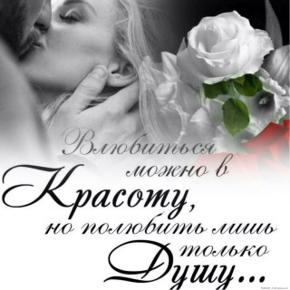 IMG_20231115_223939-world51_spcs_bio