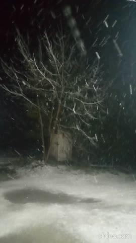 vid-20231119-215516_XK2LXT06