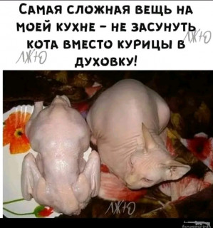 FB_IMG_17005072078975843