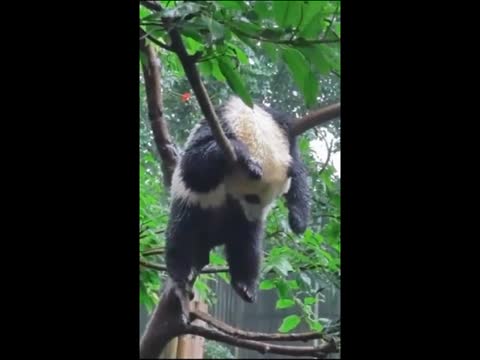 WhatsApp_Video_2023-11-22_at_17_06_34