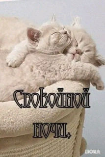 FB_IMG_17006871032819950