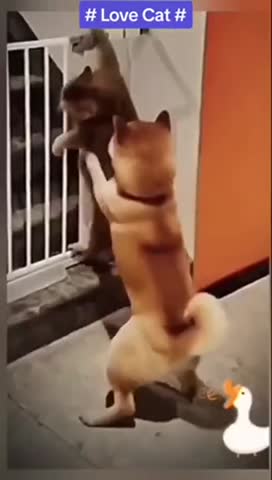 семейные_разборки