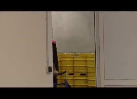 пивопровод