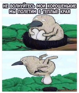 FB_IMG_1700908163676