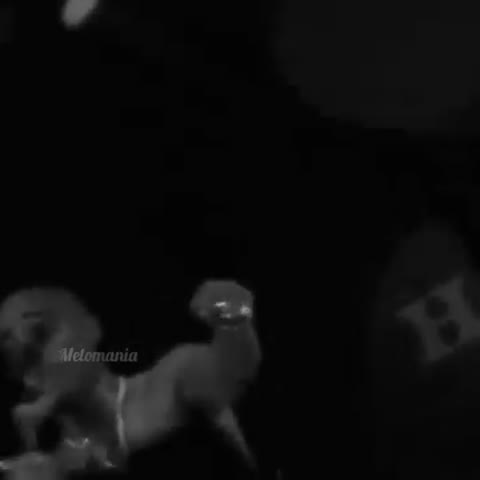 399357432_1361129744830792_5725875382605095913_n