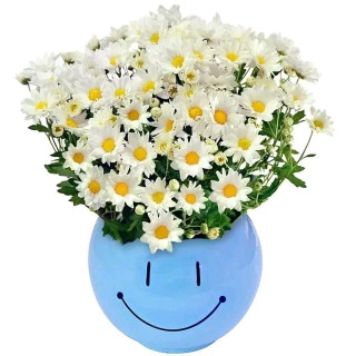 FB_IMG_17010073718960761