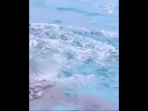 WhatsApp_Video_2023-11-27_at_19_05_42